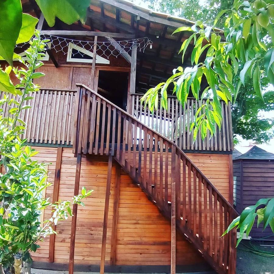 Mini House Park Hotel Campo Alegre  Bagian luar foto