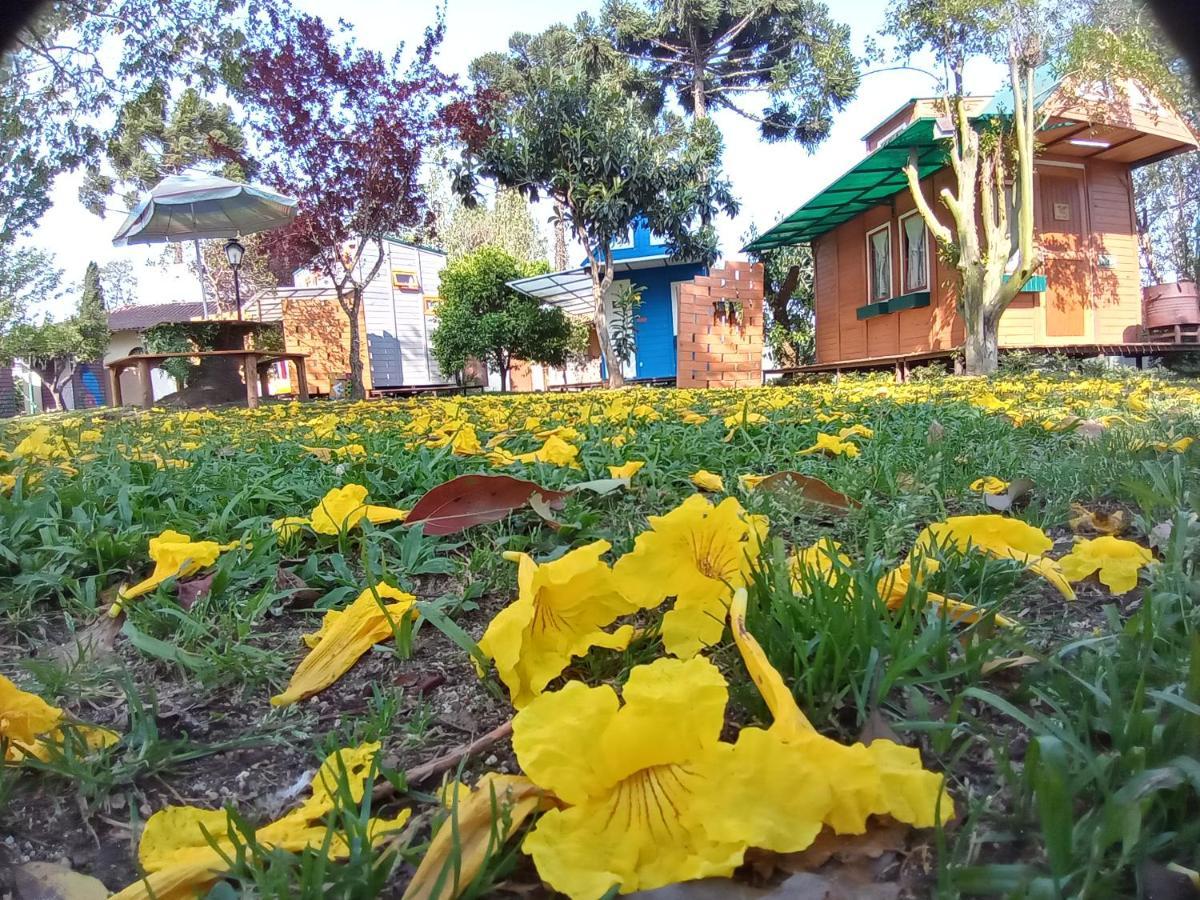 Mini House Park Hotel Campo Alegre  Bagian luar foto