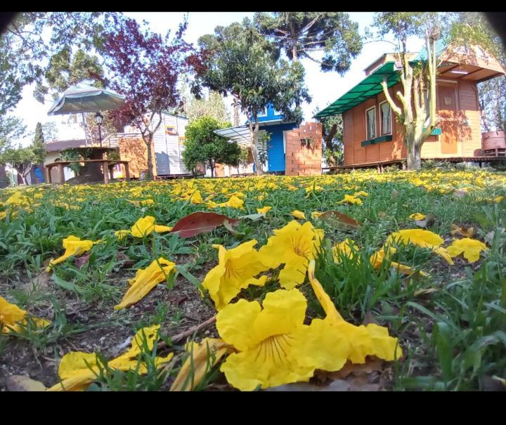 Mini House Park Hotel Campo Alegre  Bagian luar foto